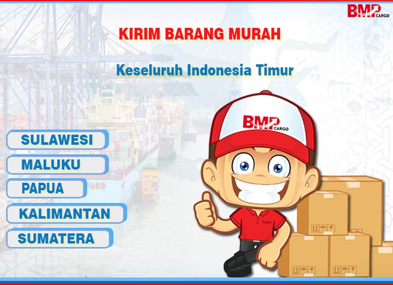 PENGIRIMAN CARGO BARANG KE PAPUA