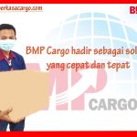 ekspedisi cargo papua