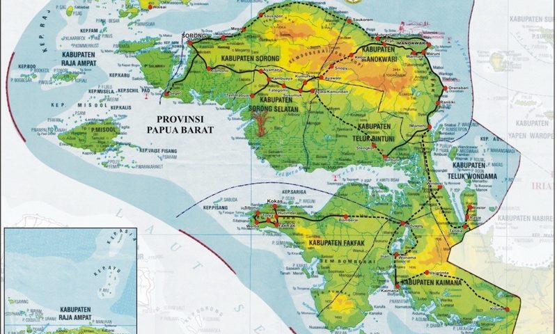 peta papua